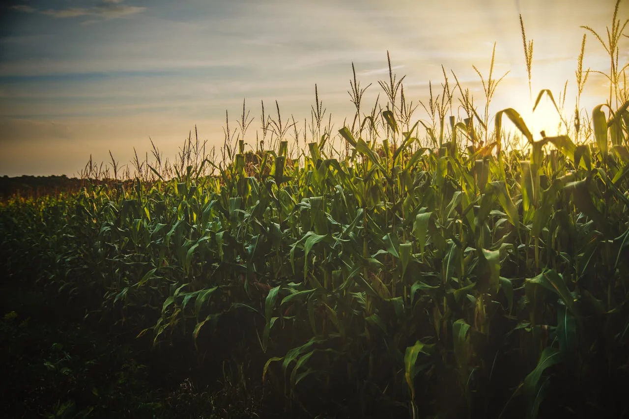 Ascribe Bio Raises $12M Series A to Advance Next-Gen Natural Crop Protection