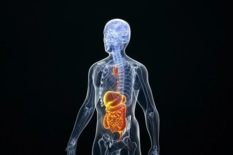 Charles River and Toxys Partner to Advance NAMs for Developmental Toxicity Testing