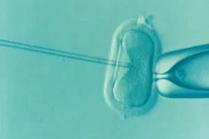 EMD Serono Strikes Landmark Deal with U.S. to Broaden IVF Access