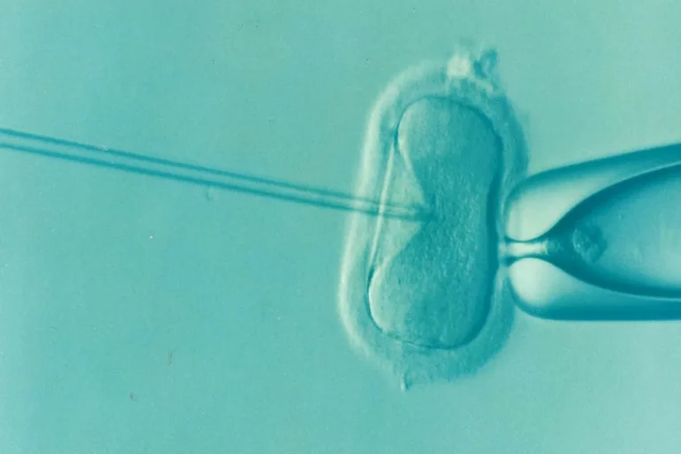 EMD Serono Strikes Landmark Deal with U.S. to Broaden IVF Access