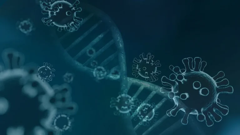 Liberate Bio Shows First In Vivo CAR-M B-Cell Depletion in Primates