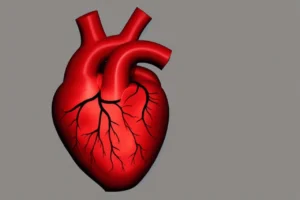 NanoPhoria Raises €83.5M to Advance Heart Failure Therapy