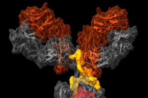 Orum Therapeutics Appoints Dr. Dorin Toader to Lead Platform Technology