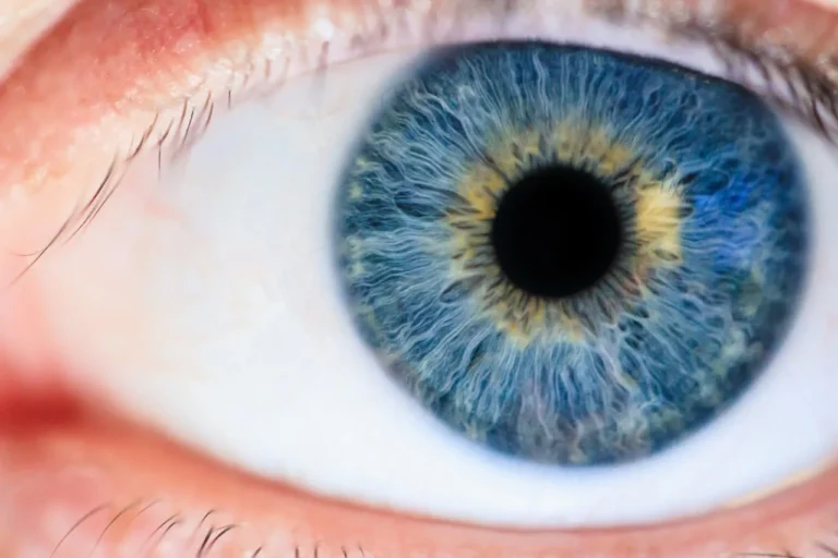 Retinal Progenitor Cell Injections Show Promise for Diabetic Retinopathy